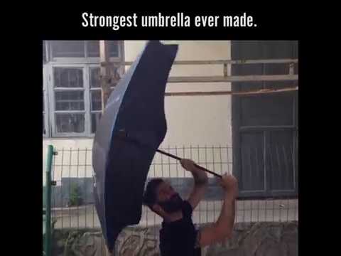 Strongest umbrella Video