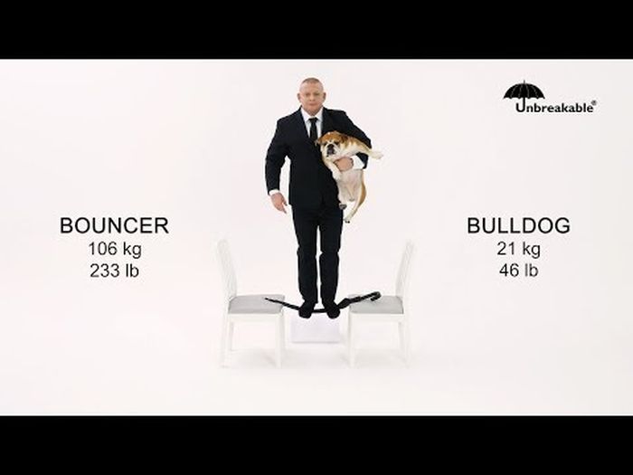 Unbreakable Umbrella Bouncer Bulldog