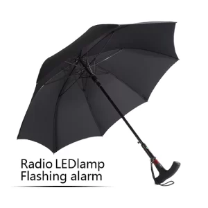 Smart Umbrella